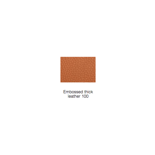 B&B Italia_jensSJ61R_natural oak_embossed thick leather100