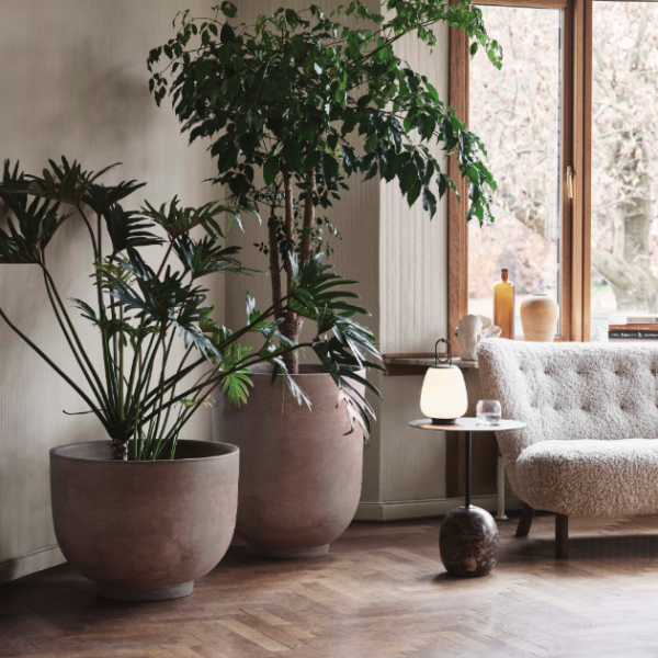 &tardition_little petra sofa VB2_karakorum_walnut